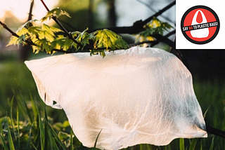 Arlington’s Plastic Bag Tax Movement Continues Despite COVID-Crisis