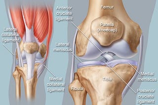 Common causes of Chronic Knee Pain: prevention and treatment options