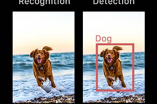 OBJECT DETECTION USING YOLO