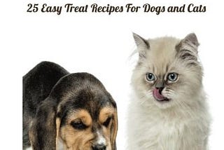 How to Make Your Own Cat Treats: Emily Roberts Kitty Care Insights