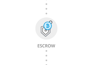 PAXFUL CLONE: THIS IS WHAT PROFESSIONALS DO