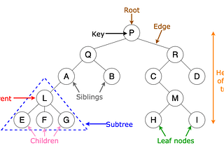 Binary Tree Veri Yapısında Depth First Search Mantığı