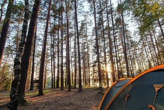 Camping: A dive into nature.