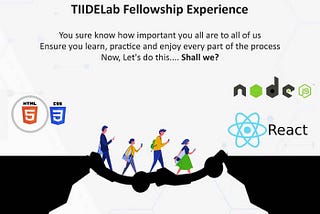 My TIIDELab Experience 4.0