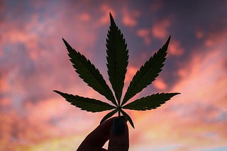 Investing in Cannabis: How Investors are Chasing the High