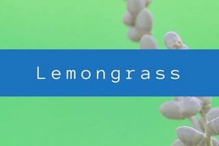 lemongrass header