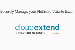 How to work with newly added field in NetSuite in CloudExtend Excel for NetSuite