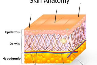 An Ultimate Guide To Radio Frequency Beauty Instrument