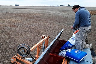 Prohíben el trigo transgénico en la provincia de Buenos Aires