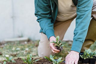 How to Maximize Your Calendar to Enjoy All Your Favorite Springtime Activities