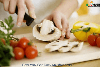 Can You Eat Raw Mushrooms? — Edu Mushroom (2023)