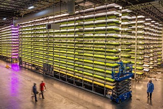 Here’s why vertical farming is the future of agriculture