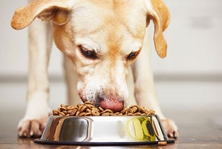 Data Quality: A Lesson in Eating Your Own Dog Food