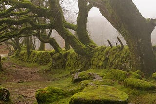 Is professionalising systems practice the ultimate #futureofwork paradox?