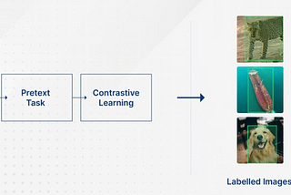 How to Reduce Training Data with Self-Supervised Learning