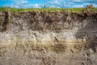 What Is Subsoil and How Does It Help a Garden?