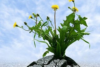 3 Tools To Use When You Are About To Give Up