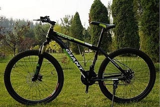 Curious Case of the Stolen Bikes