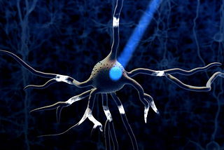An example of optogenetics.