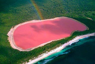 Where in the World is The Bubblegum Lake?