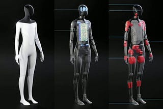 Tesla Bot Announced, Everything About the Tesla Bot