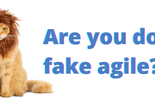 Are you doing fake Agile?