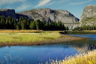 8-Year old girl marches to help save Yosemite National Park