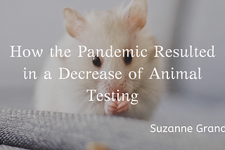How the Pandemic Resulted in a Decrease of Animal Testing