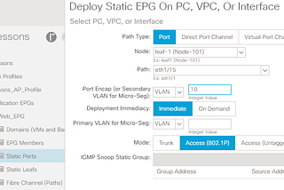 Tech Note: ACI EPG Static Port Bindings — Never pick “untagged”