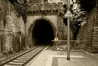 COVID-19: The Perpetual Tunnel