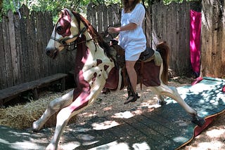 Get back on your dating horse.
