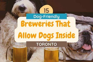 15 Dog-Friendly Breweries in Toronto that Allow Dogs Inside - Pinterest Pin