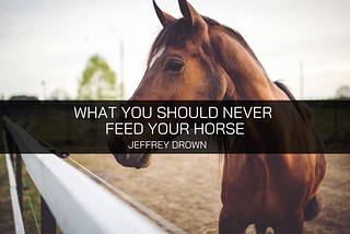 Jeffrey Drown Talks About What He Never Feeds His Horse — Jeffrey John Drown Minnesota