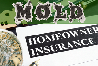 Mold damage in your home can lead to significant health risks, structural damage, and expensive…