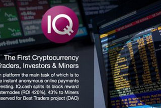 IQ. cash or how to become a leader in the crypto industry