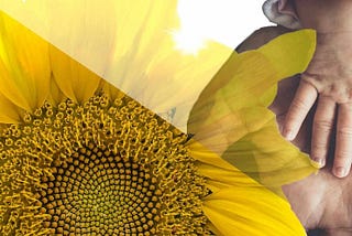 Summer Solstice 2026 Guided Meditation & Fathers Day Blessing