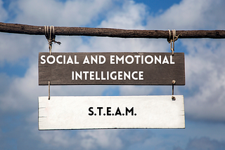 Relating Social and Emotional Intelligence with S.T.E.A.M.