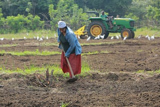 Just Transition in Livelihoods for Resilient Food Systems