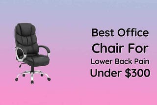 Best Office Chair For Lower Back Pain Under $300 In 2021