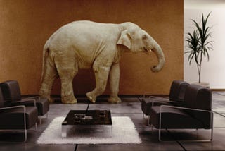 The Elephant in the Room — ?