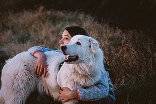 300+Great Pyrenees Names For Male And Female Dog-Pet Fitness Tips