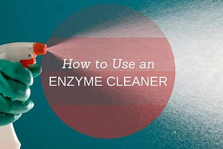 How to Use an Enzyme Cleaner