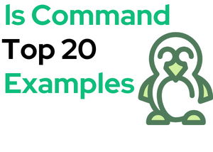 ls Command in Linux — Learn From Zero with 10-Examples