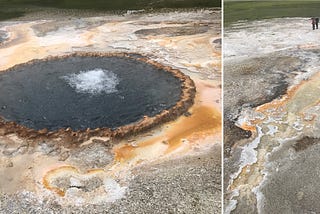 A sinter mound at Yellowstone National Park surrounded by microbes feeding on hot spring chemicals. Right: outflow channel with microbial mat communities adapted to high temperature photosynthesis and lower temperature green photosynthesizing plants in the distance. Image borrowed from Bruce Damer (2019), link in the main text.