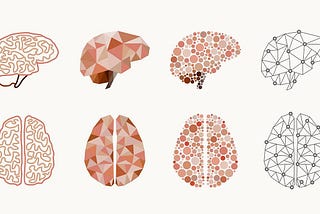 Research Hit: The Average Brain Myth