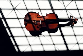 A Selection Of The Best Violin Strings For Professionals