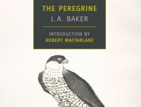 ?DOWNLOAD [PDF]> The Peregrine EBOOK