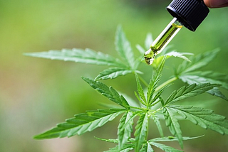 CBD Oil Chemist Warehouse: Experience Relief Naturally Selection