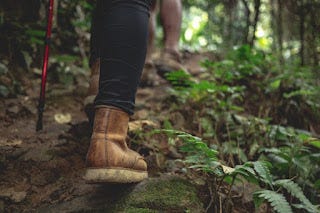 Three Hikes Near New York City