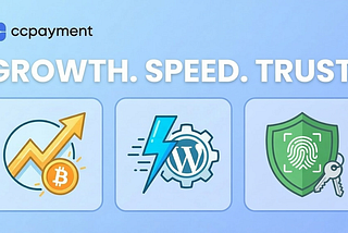 🚀 CCPayment Weekly Update: Visa’s Crypto Surge, Plugin Quick-Start, and Account Security Hardening